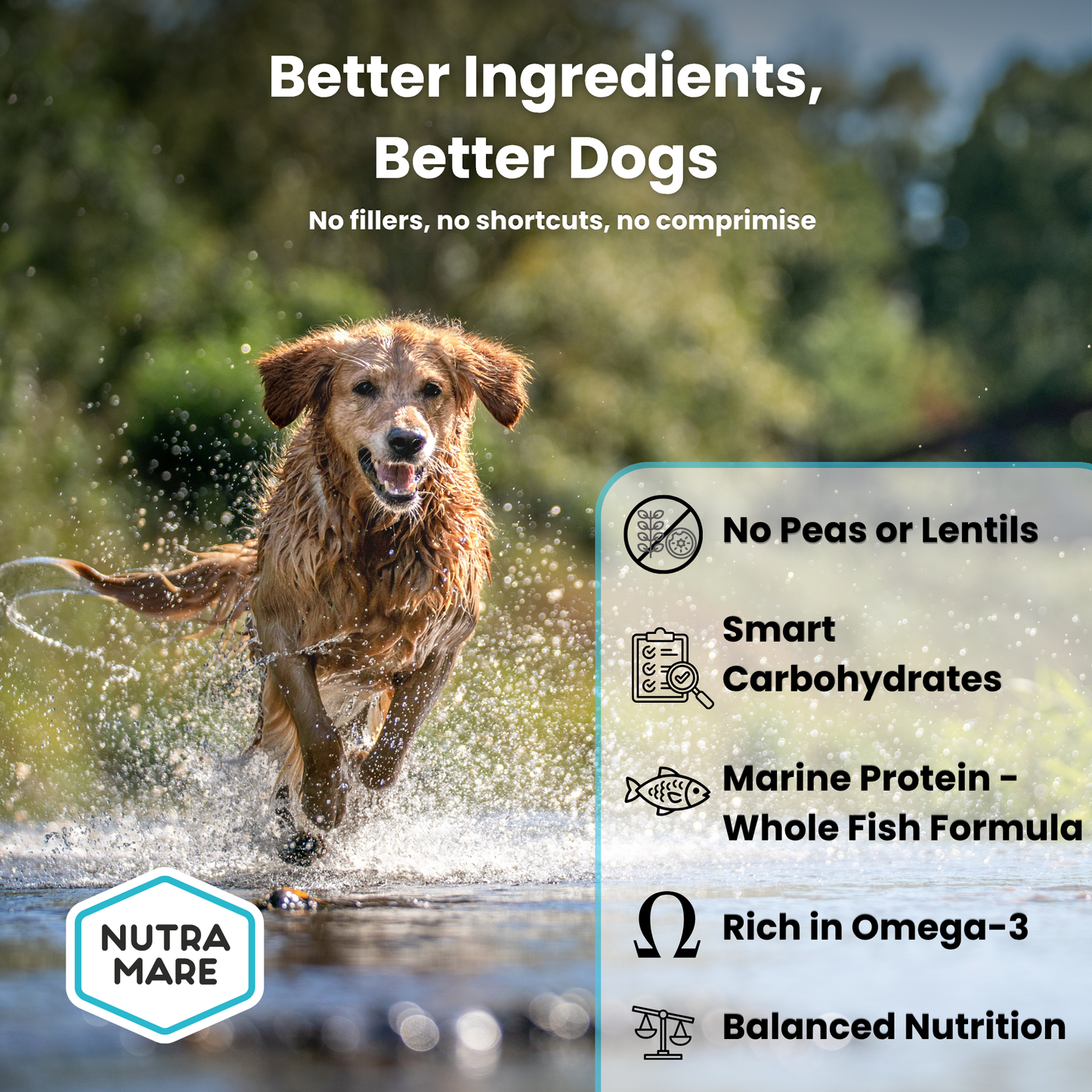 NutraDog Early Access Bag