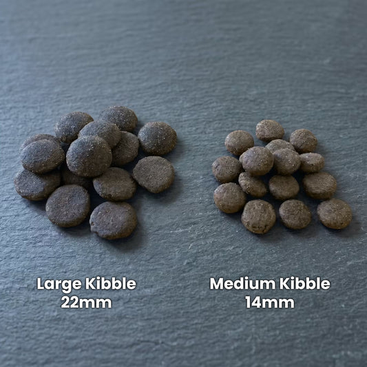 Arctic Whole-Fish Dry Dog Food