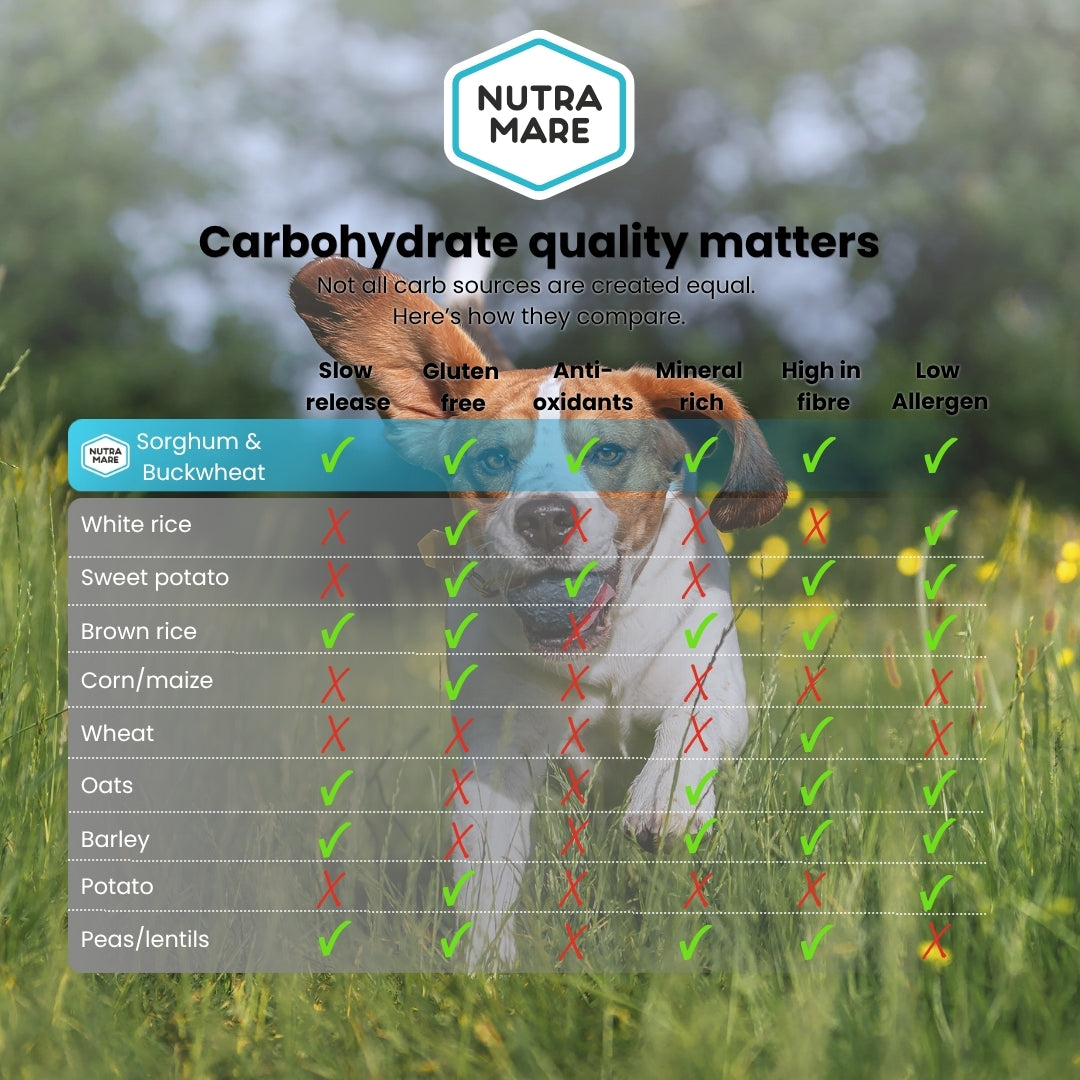NutraDog Early Access Bag