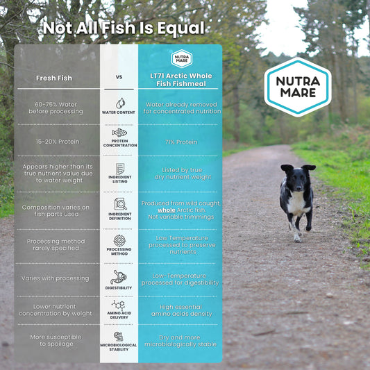 NutraDog Early Access Bag