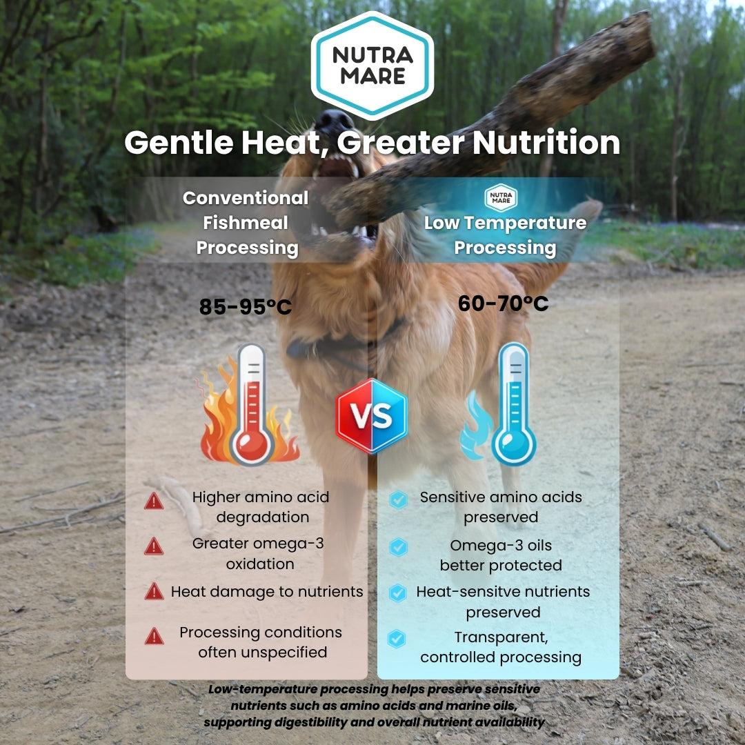 NutraDog Early Access Bag