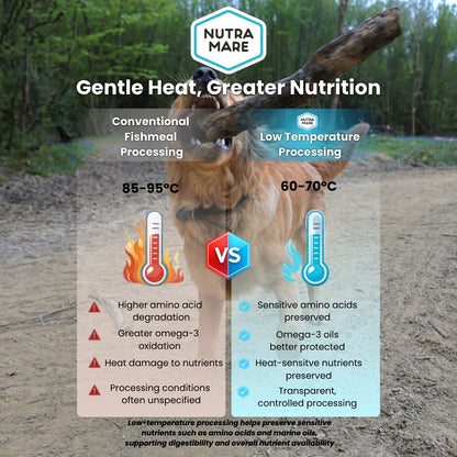 NutraDog Early Access Bag