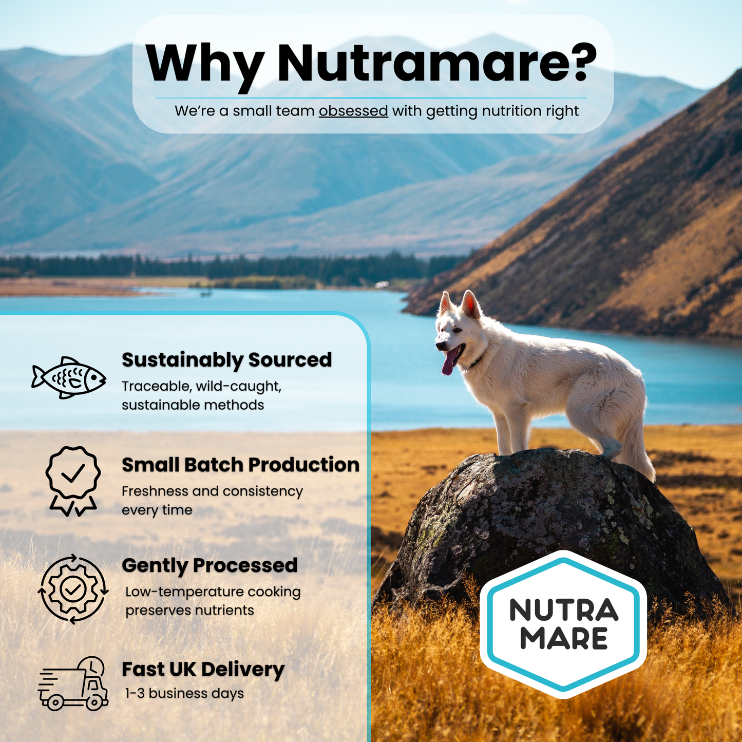 NutraDog Early Access Bag