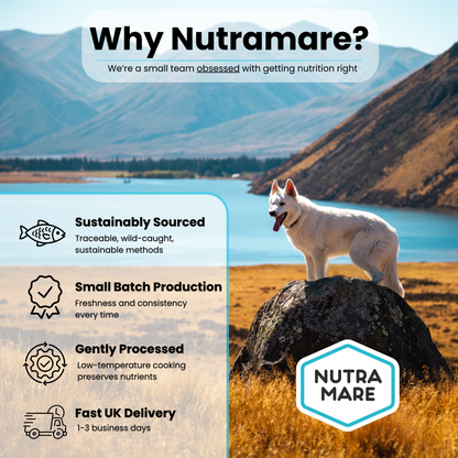 NutraDog Early Access Bag
